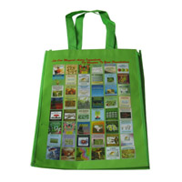 嘉兴LB11覆膜无纺布广告袋