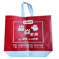 嘉兴LB37培训班广告袋